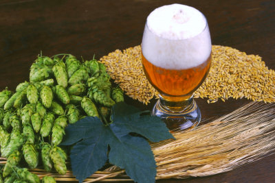 beer with green leaf